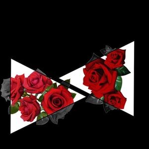 Meet your Posher, Jasmin